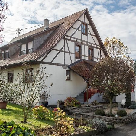 Ferienwohnung Nr 1 Deggenhausertal Exterior photo
